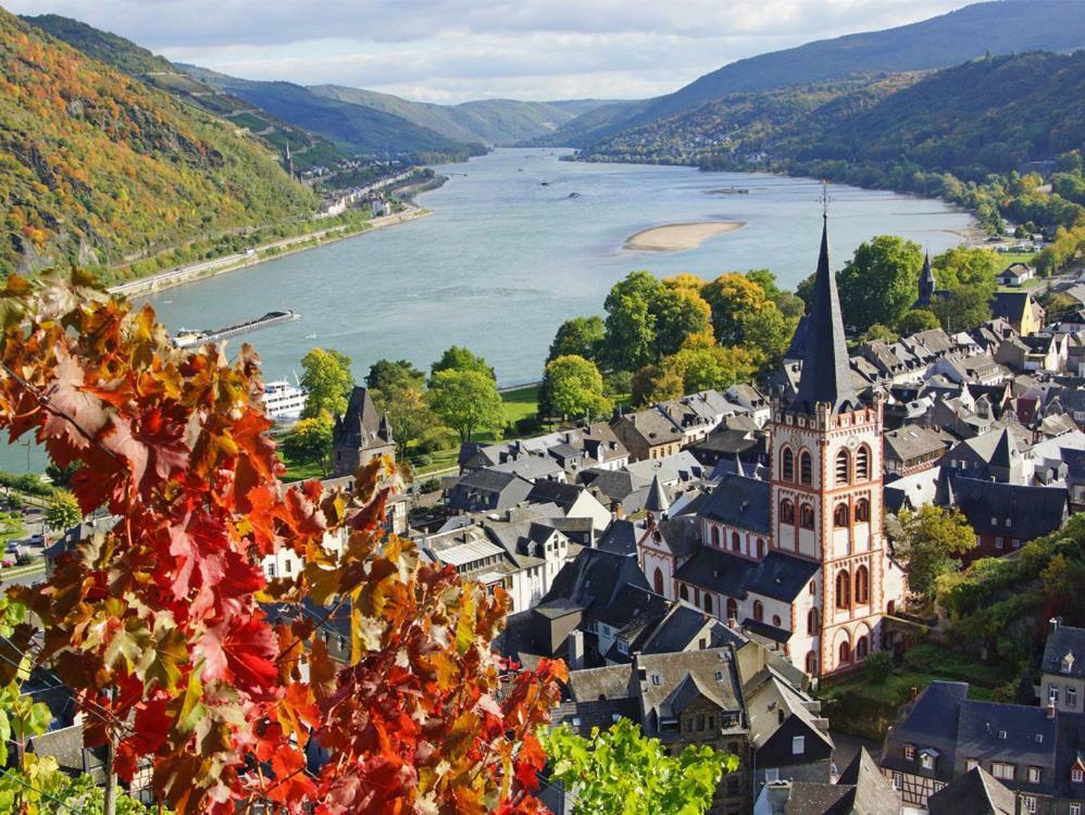 Ferienwohnung "Gecko" Andernach Kültér fotó